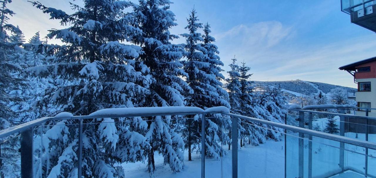 Apartman Nerudovka D 104, Finska Sauna, Garazove Stani Loučná pod Klínovcem Dış mekan fotoğraf