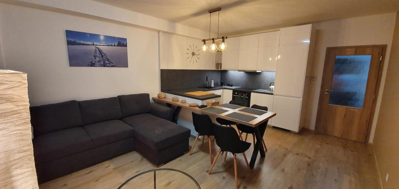 Apartman Nerudovka D 104, Finska Sauna, Garazove Stani Loučná pod Klínovcem Dış mekan fotoğraf