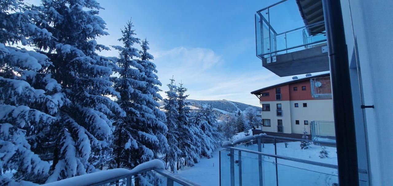 Apartman Nerudovka D 104, Finska Sauna, Garazove Stani Loučná pod Klínovcem Dış mekan fotoğraf