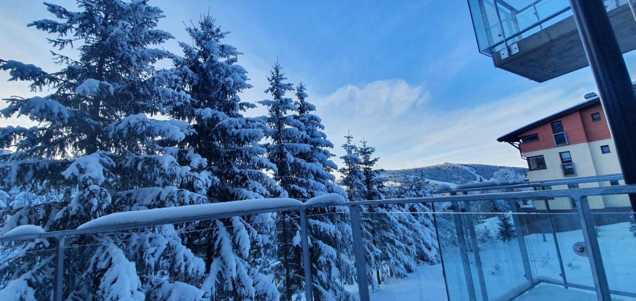 Apartman Nerudovka D 104, Finska Sauna, Garazove Stani Loučná pod Klínovcem Dış mekan fotoğraf