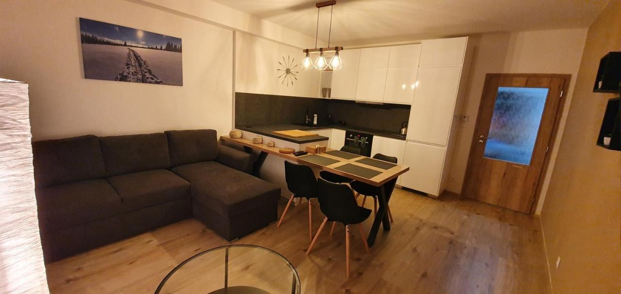 Apartman Nerudovka D 104, Finska Sauna, Garazove Stani Loučná pod Klínovcem Dış mekan fotoğraf