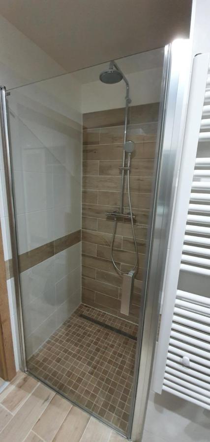 Apartman Nerudovka D 104, Finska Sauna, Garazove Stani Loučná pod Klínovcem Dış mekan fotoğraf