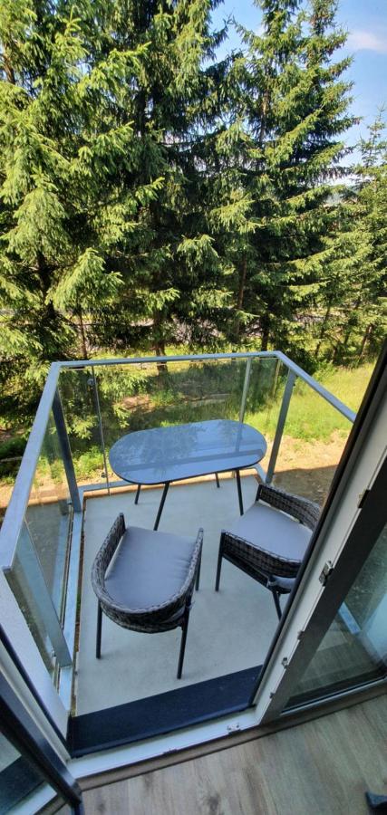 Apartman Nerudovka D 104, Finska Sauna, Garazove Stani Loučná pod Klínovcem Dış mekan fotoğraf